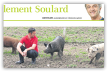 Le Soleil - Jean Soulard - Un cochon pas comme les autres